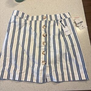 Forever 21 Blue and White Striped Mini Skirt